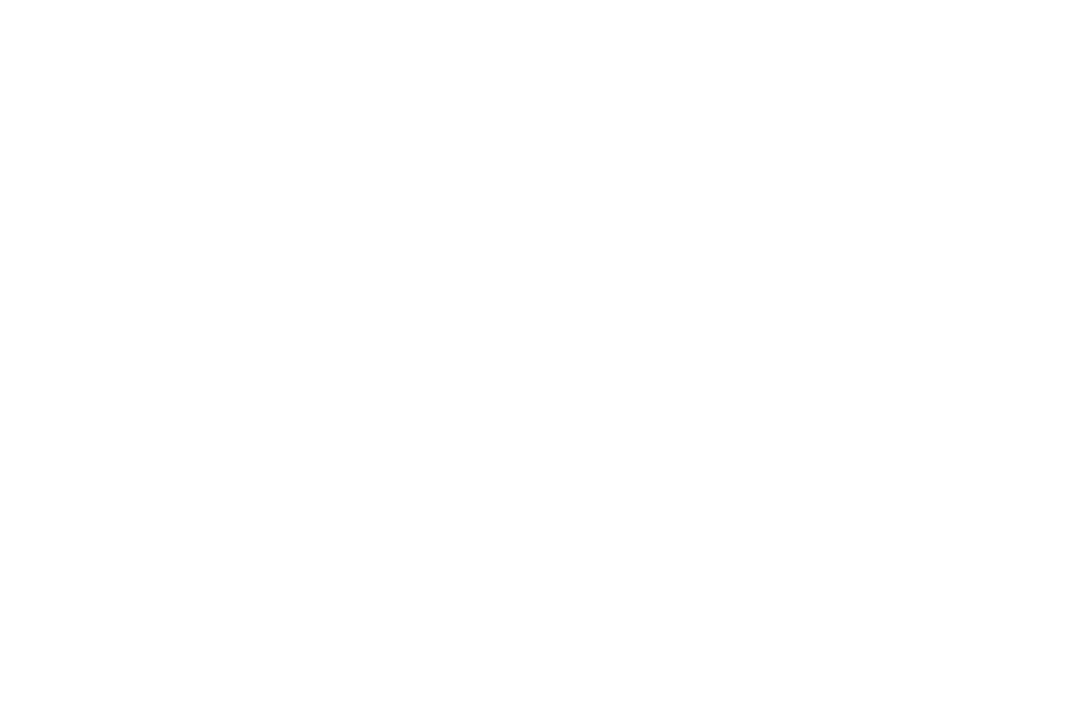 Reasonable Insurance logo